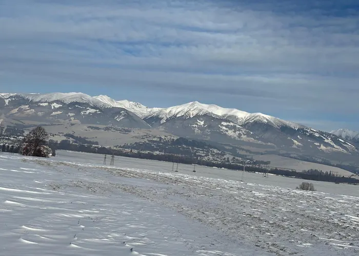 Aneta Závažná Poruba